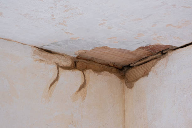 Best Flooded house restoration  in Fletcher, NC
