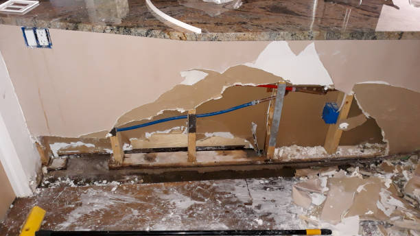 Best Professional water damage repair  in Fletcher, NC
