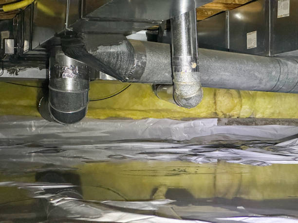 Best Ceiling water damage repair  in Fletcher, NC